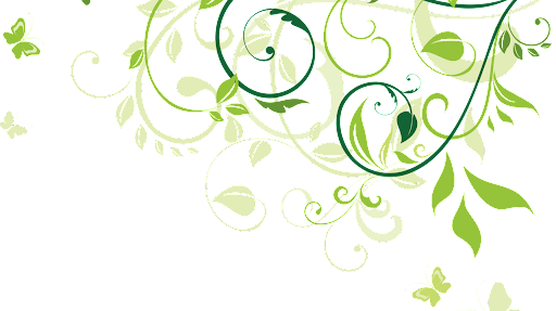 feuilles
