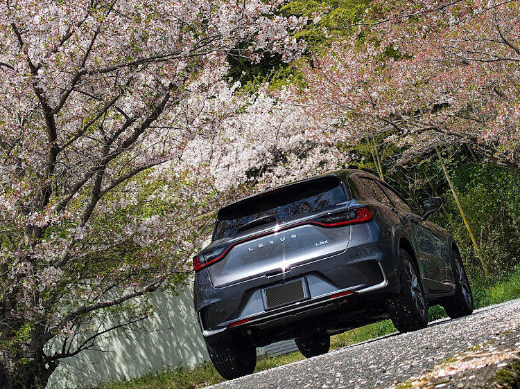 LBXのLBX・サクラと愛車・桜×鳥居×愛車・Lightroom編集に関するカスタム事例の投稿画像4枚目
