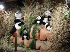 2015.12.07-010 pandas