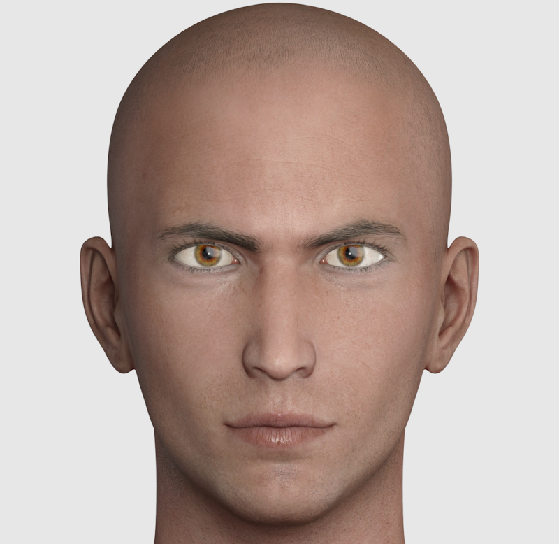 黄金比でイケメンを作れるか4 Golden_g3m7.png