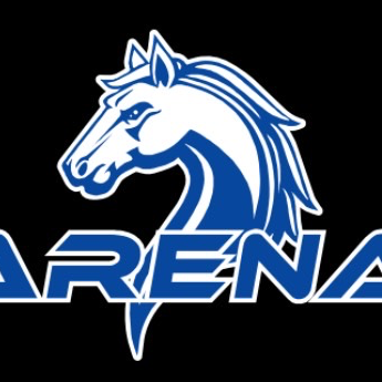 Stallion Arena Fitness logo