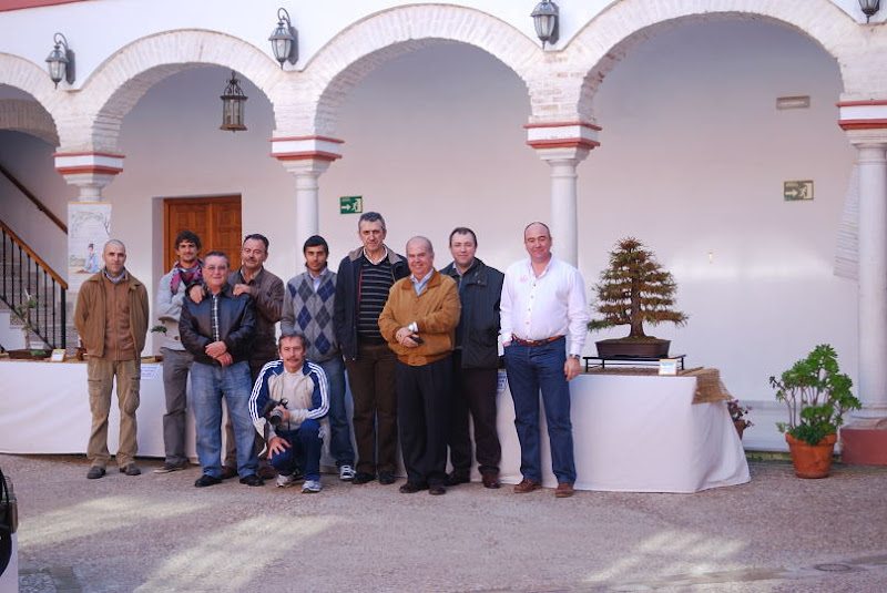 XI Exposición Invernal de bonsai de la A.S.B. Chokkan 019%252520XI%252520Exp.Inv.%252520ASBC%25252020111203%252520150