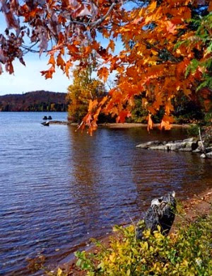 From Fall Colors - and more - in the Adirondacks