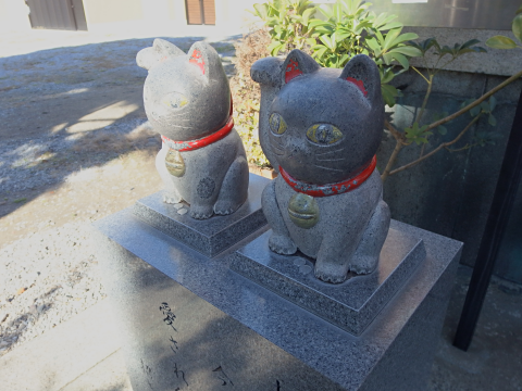 今戸神社・まねき猫