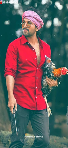 Allu Arjun Attitude Full Screen Status OR Ringtone Download Allu Arjun Attitude Full Screen Status OR Ringtone Download