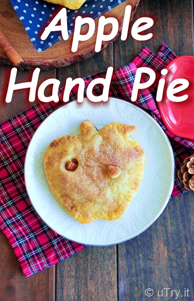 Welcome Fall with these Apple Hand Pies 蘋果批 (with video tutorial)  http://uTry.it