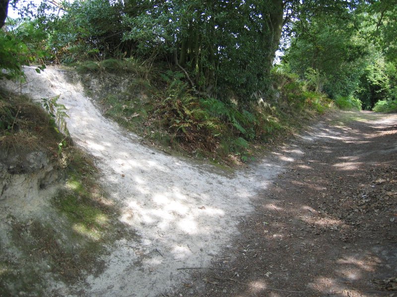 white path