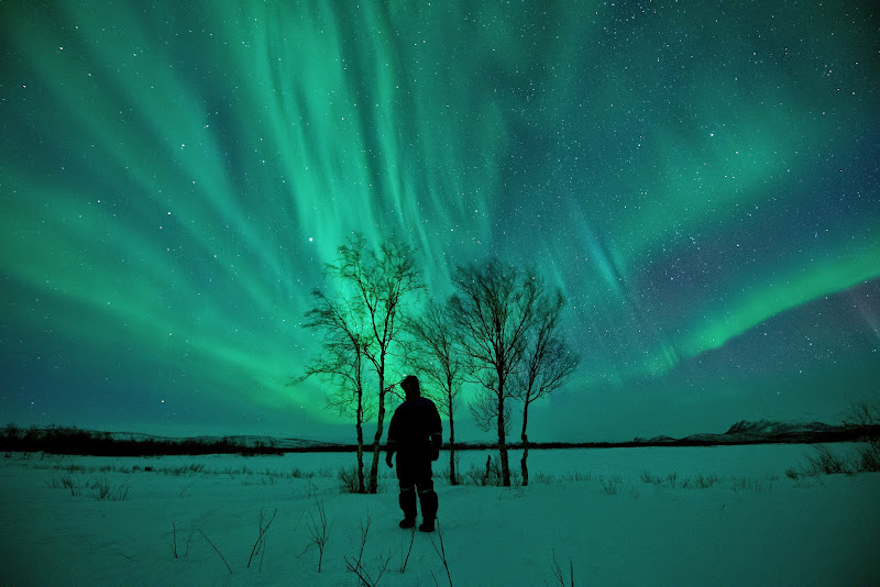 Escapada boreal a Noruega (2015) - Blogs de Noruega - A por las auroras! (27)