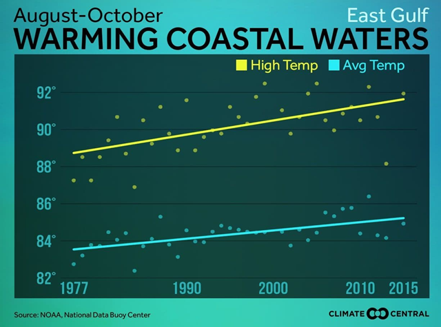 Temperature trend in the eastern Gulf of Mexico since 1975. Data from NOAA. Graphic: Climate Central