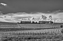 3 maggio 2014 Grana, Alfiano Natta, Grazzano Badoglio, Montachiaro,Montemagno d'Asti - fotografia di Vittorio Ubertone