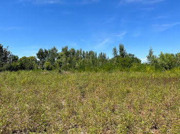 terrain à Castelnaudary (11)