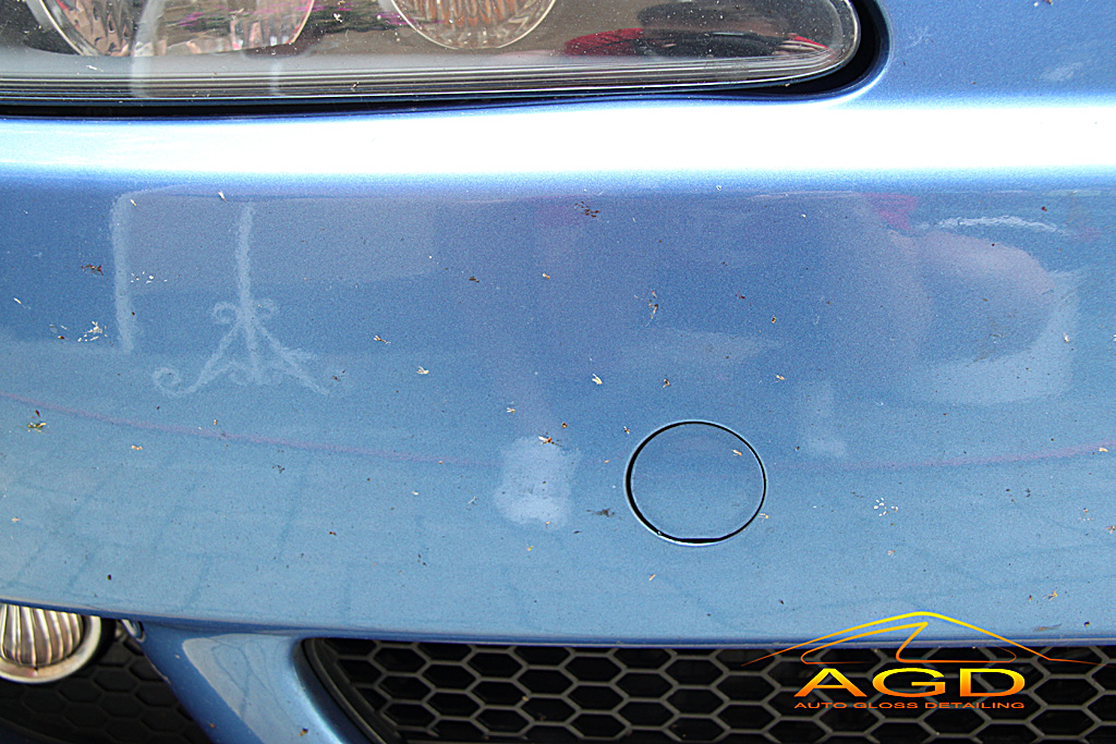 AGDetailing - Amazing Blue (Alfa 147 Q2) IMG_3344