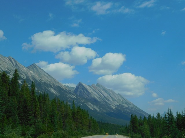 C068_CAN AL Jasper NP_2018-08-13_DSCN2392