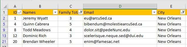 ตัวกรองสองตัว excel