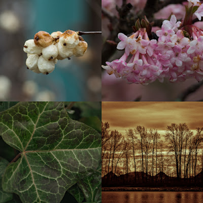 Images from a walk along the Fraser River