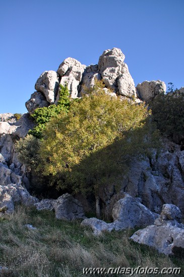 Benaocaz-El Hoyo-Jauletas-Puerto de Don Fernando