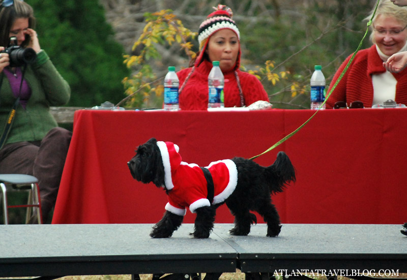 Reindog Parade