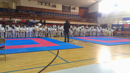 Karate: American International School Children's Karate Championship