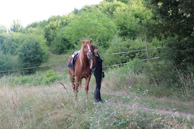 Photos of Centro Equestre Tre Laghi