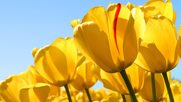 Cover photo