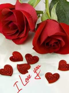 Happy Rose Day