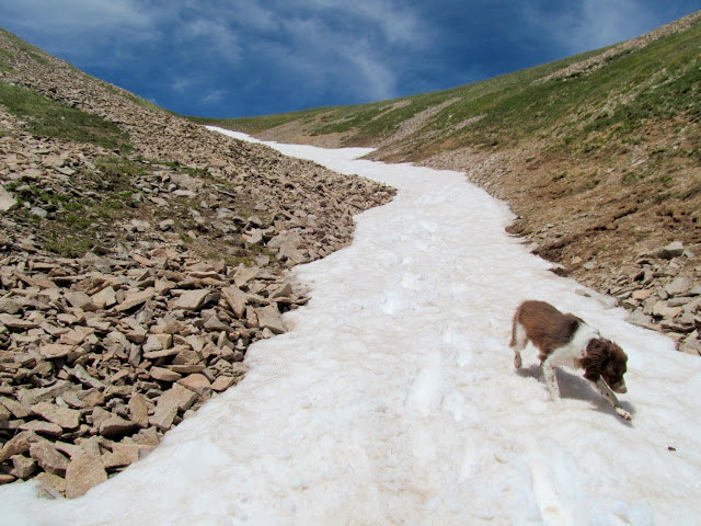 Descending the soft snow