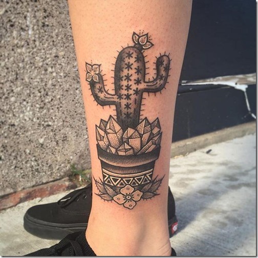 el_cactus_esconde_los_ms_preciados_secretos el_cactus_esconde_los_ms_preciados_secretos