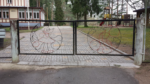 Mickey Mouse Gates