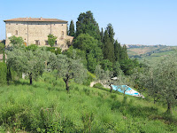 Cipressi_San Casciano in Val di Pesa_16