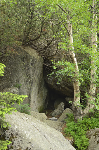 Татры, июнь 2015. с собакой