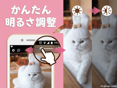 【トップコレクション】 猫 おしゃれ 壁紙