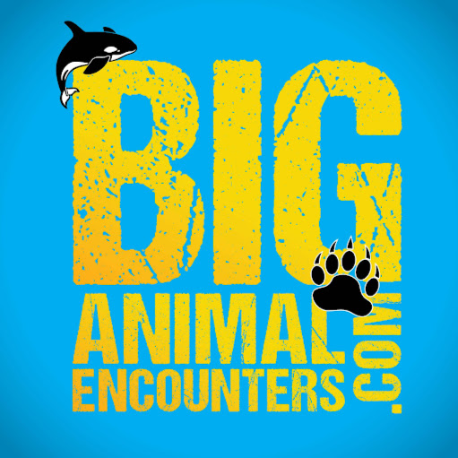 Big Animal Encounters