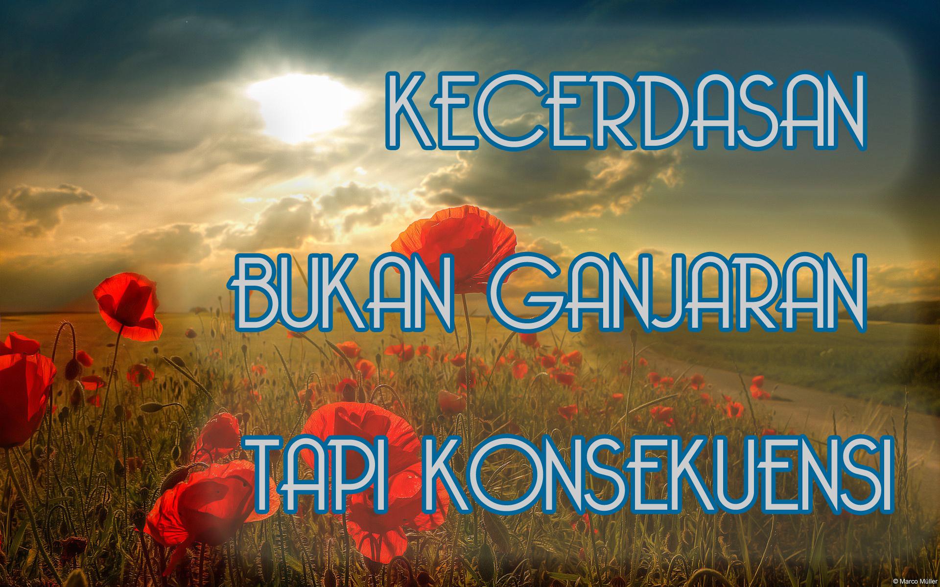  Kata kata Indah  Kecerdasan bukan ganjaran Wallpaper Motivasi