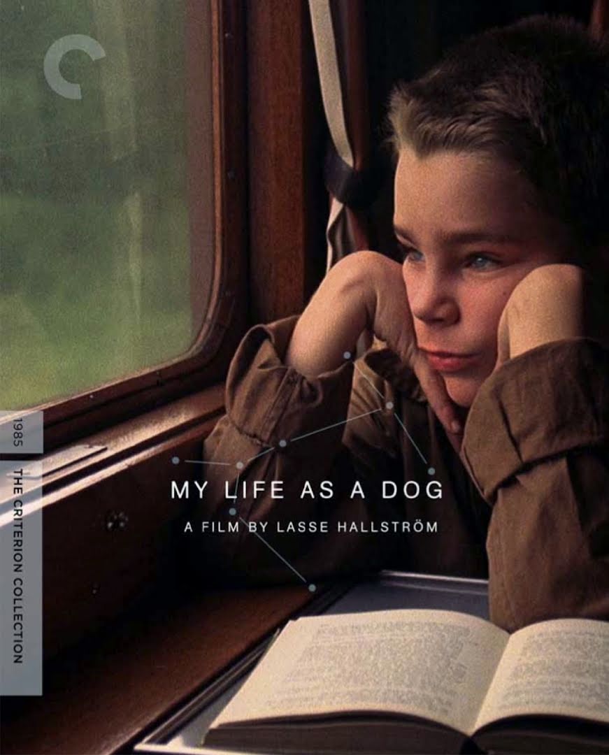 Mi vida como un perro - Mitt liv som hund - My Life as a Dog (1985)