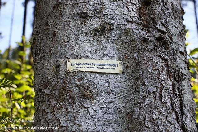 Bärental: Wanderweg nach Titisee