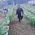 Star Actor, Osita Iheme (Pawpaw) Goes Into Farming, Shows Off His Resident Farm (Photos)