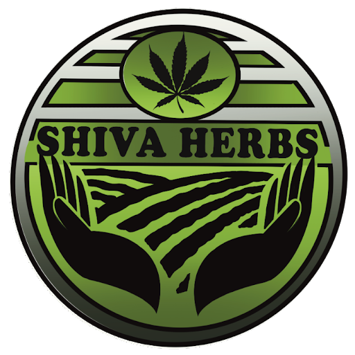 Shiva Herbs - Bremerhaven`s erster CBD Shop logo