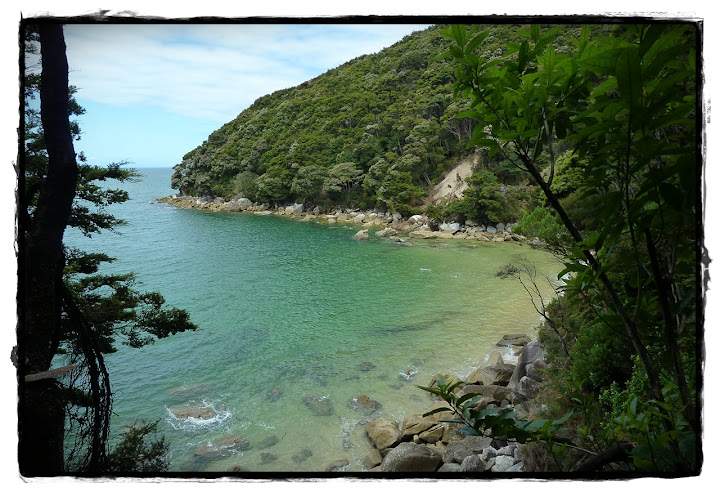 Abel Tasman NP - Te Wai Pounamu, verde y azul (Nueva Zelanda isla Sur) (4)