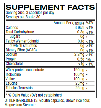 Bcaa while on steroids