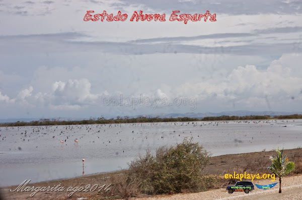 Playa Paraiso, (La Punta) NE126