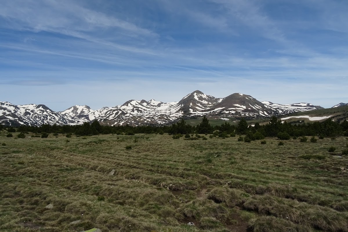 DSC02397.JPG