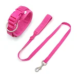 collar leash