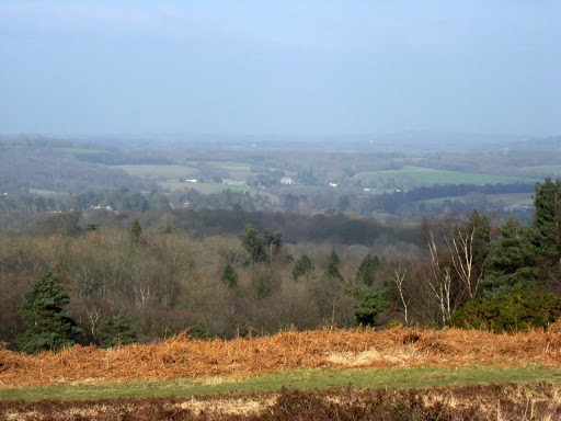 1103030054 View from Ashdown Forest