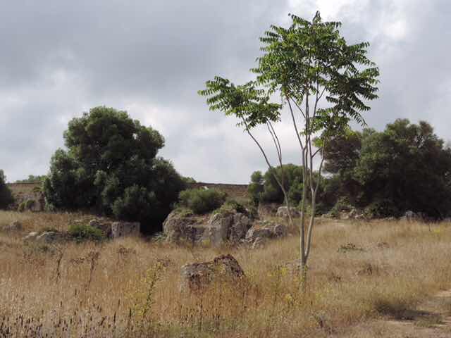 Cave di Cusa - scenery