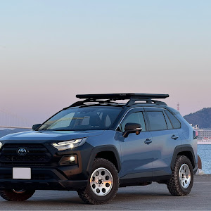 RAV4 AXAH54