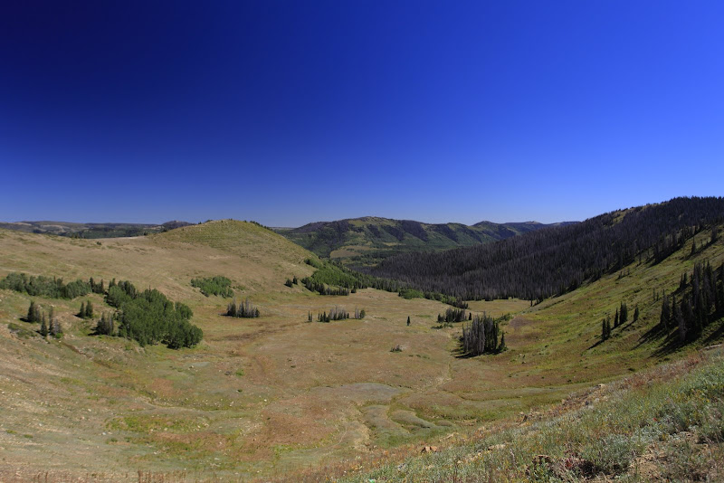 _MG_4742.JPG
