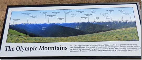 Olympica Mountains Info Board, Hurricane Ridge