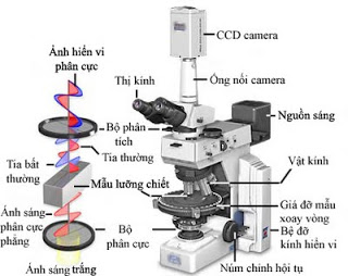 Kính hiển vi quang học, cấu tạo, nguyên tắc hoạt động