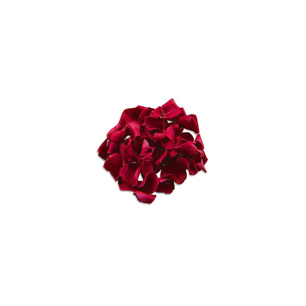 Burgundy Rose Petals