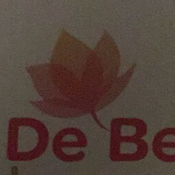 De Berkenhoeve, kapsalon en medisch pedicure sport logo